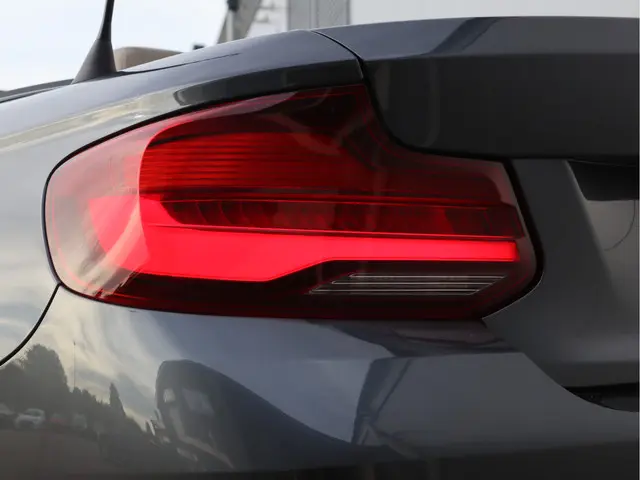 BMW 2 Serie Cabrio 220i High Executive 2021 Benzine 14