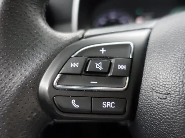 MG ZS-EV Luxury 45 kWh Aut- 2020 Elektrisch 12
