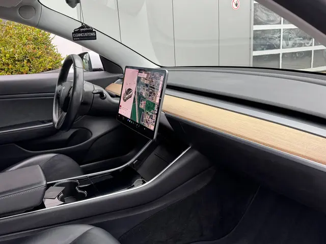 Tesla Model 3 Performance AWD 75 kWh 2019 Elektrisch 16