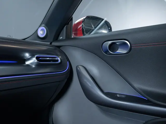 Smart #1 BRABUS 66 kWh 2023 Elektrisch 12