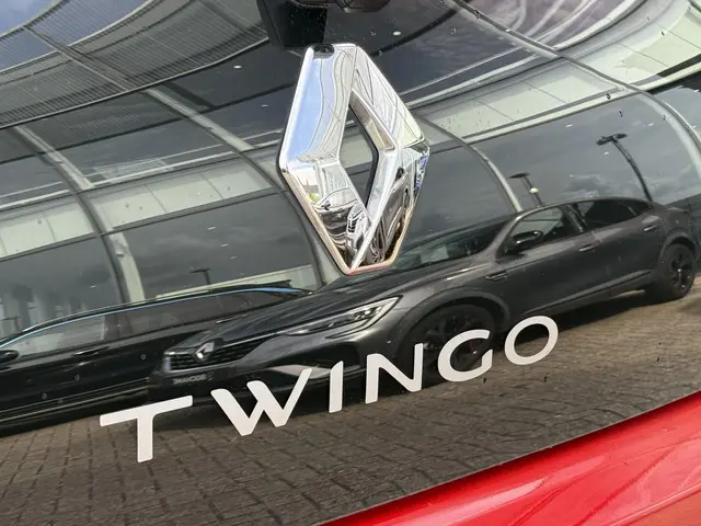 Renault Twingo 1.0 SCe Life Black Edition 2020 Benzine 31