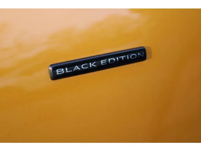 Renault Scénic 1.3 TCe Black Edition 2020 Benzine 16