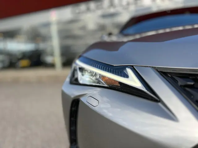 Lexus UX 300e Business 54 kWh 2020 Elektrisch 8