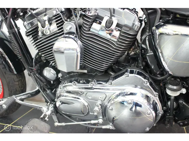 Harley-Davidson Sportster XL 1200C Custom 2012 Benzine 4