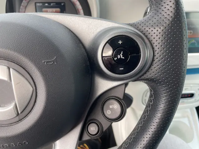 Smart Forfour 1.0 Proxy 2015 Benzine 13