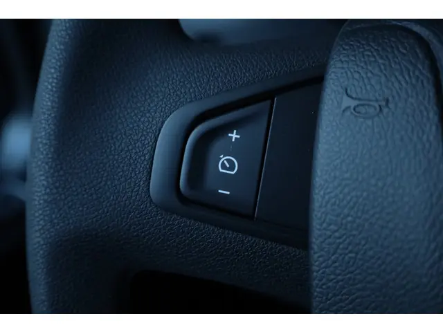 Nissan Interstar 2.3 dCi L2H2 N-Connecta 2024 Diesel 14