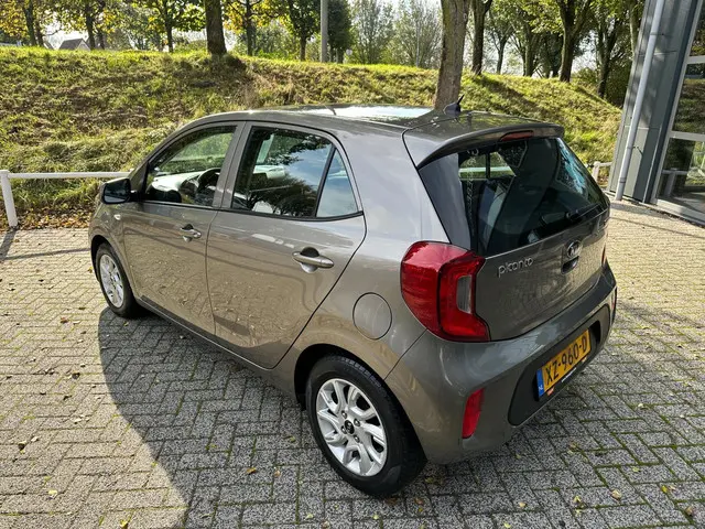 Kia Picanto 1.0 CVVT EconomyPlusLine 2019 Benzine 5