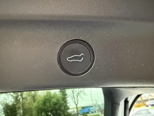 Tesla Model Y Range Plus 2022 Elektrisch 18