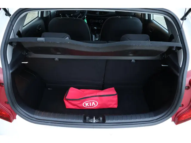 Kia Picanto 1.0 EconomyPlusLine 2018 Benzine 14