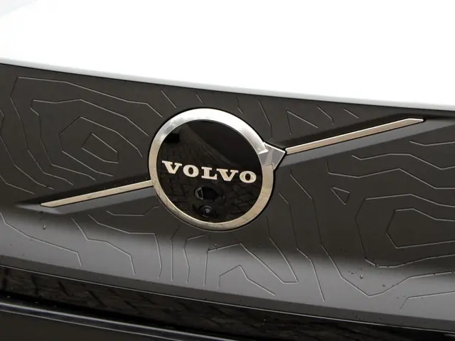 Volvo EX30 Cross Country Twin Engine 2025 Elektrisch 10