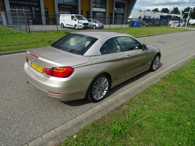 BMW 4 Serie Cabrio 420d High Executive 2014 Diesel 5