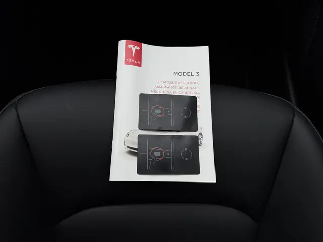 Tesla Model 3 Range Plus 2021 Elektrisch 25