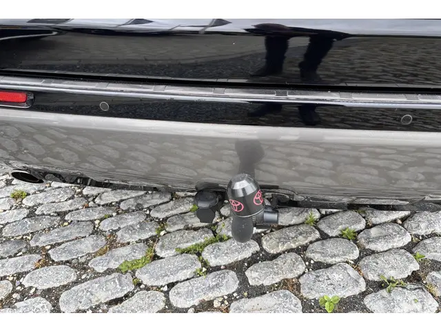 Toyota RAV4 2.5 Hybrid AWD Bi-Tone 2019 Hybride Benzine 46