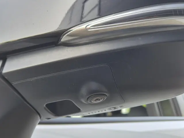 Toyota RAV4 2.5 Hybrid AWD Bi-Tone 2020 Hybride Benzine 24