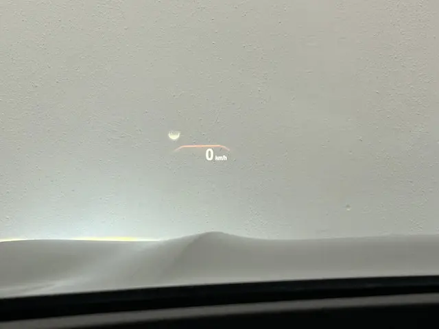 BMW X3 xDrive20i High Executive 2020 Benzine 31