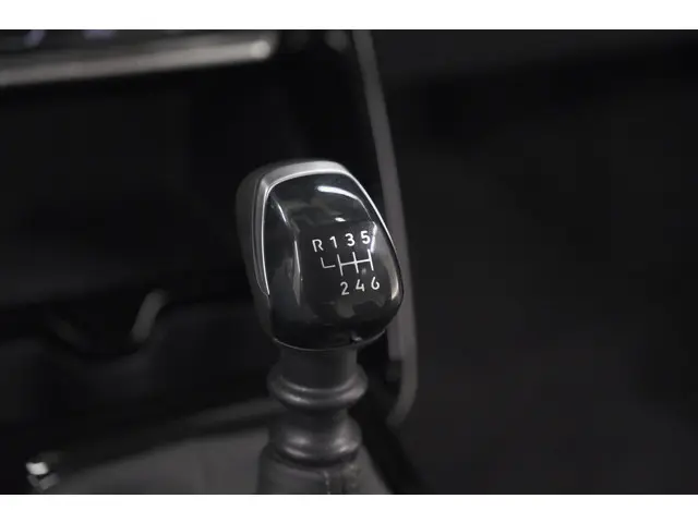 Citroën C3 1.2 Turbo 100pk Max 2025 Benzine 39