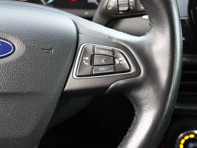 Ford EcoSport 1.0 EcoBoost 125PK Titanium 2019 Benzine 27