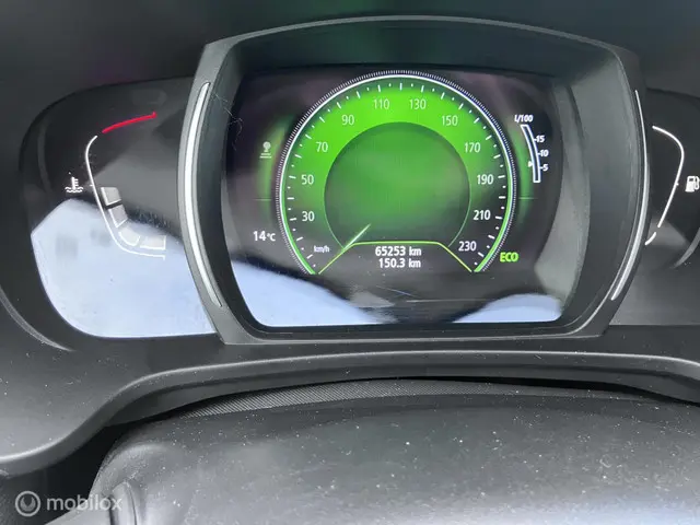 Renault Kadjar 1.2 TCe Limited 2018 Benzine 15