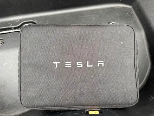 Tesla Model 3 Standard RWD Plus 60 kWh 2020 Elektrisch 23