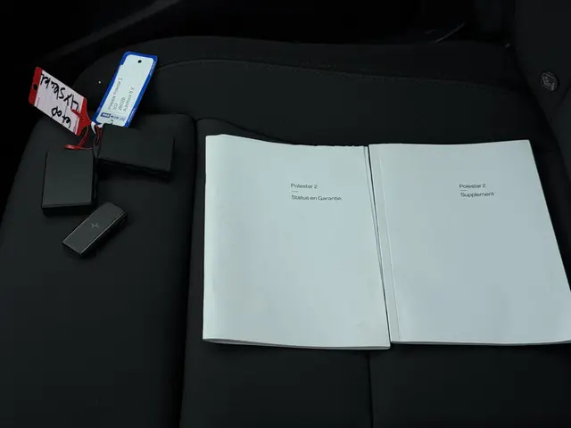 Polestar 2 Aut. Long Range Dual AWD 2020 Elektrisch 37