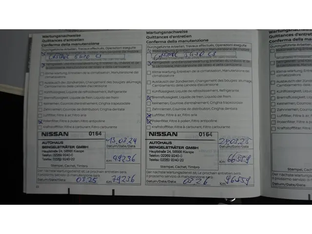 Nissan QASHQAI 1.3 158PK 2021 Benzine 32