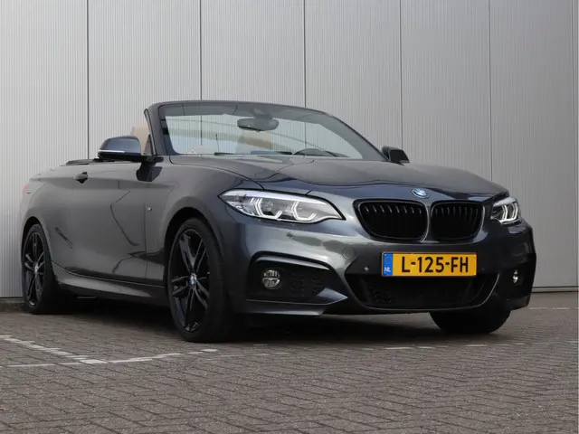 BMW 2 Serie Cabrio 220i High Executive 2021 Benzine 16