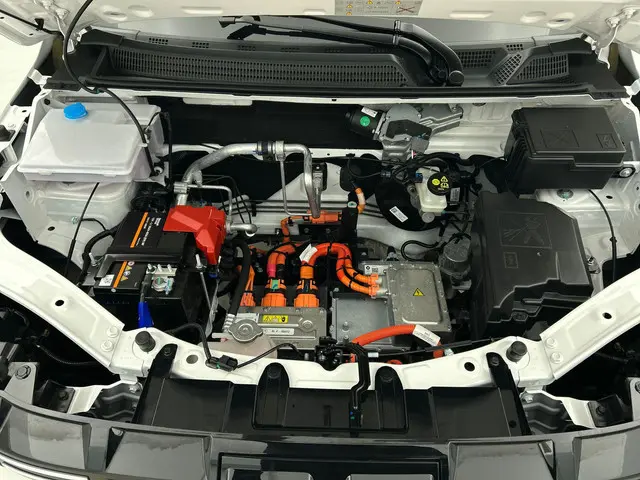 Dacia Spring Extreme 65 26.8 kWh 2024 Elektrisch 15