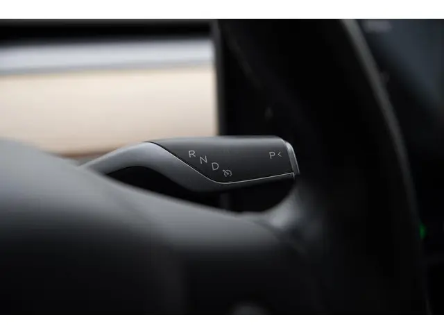 Tesla Model 3 Long Range AWD 75 kWh 2019 Elektrisch 38