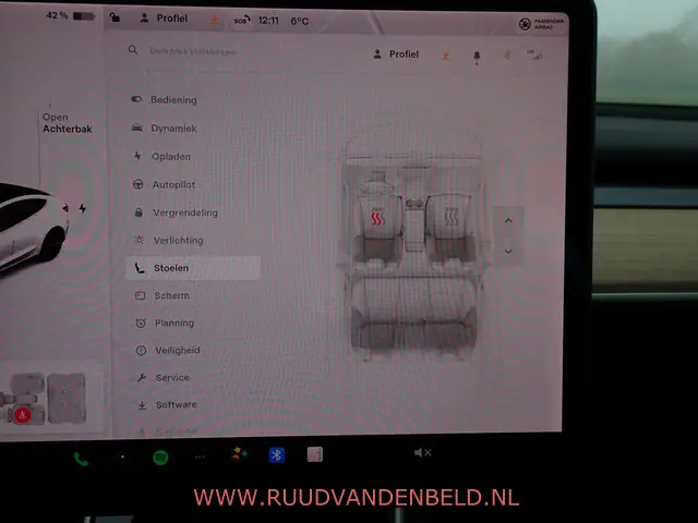 Tesla Model 3 SR+ 2020 Elektrisch 17