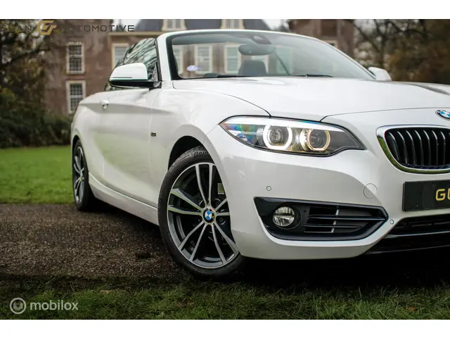 BMW 2 Serie Cabrio | 2018 Benzine 14