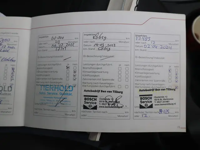 Kia e-Soul ExecutiveLine 64 kWh 2020 Elektrisch 15