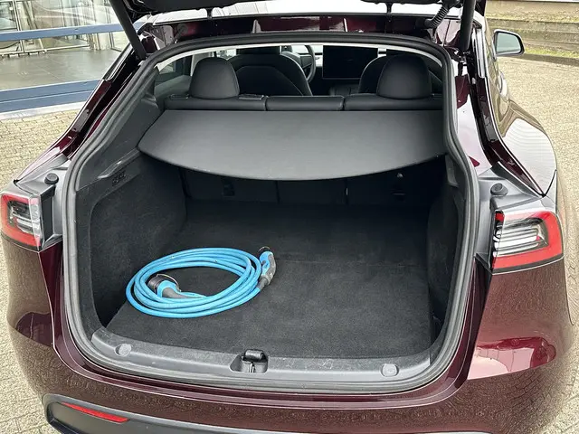 Tesla Model Y Long Range AWD 75 kWh 2023 Elektrisch 21