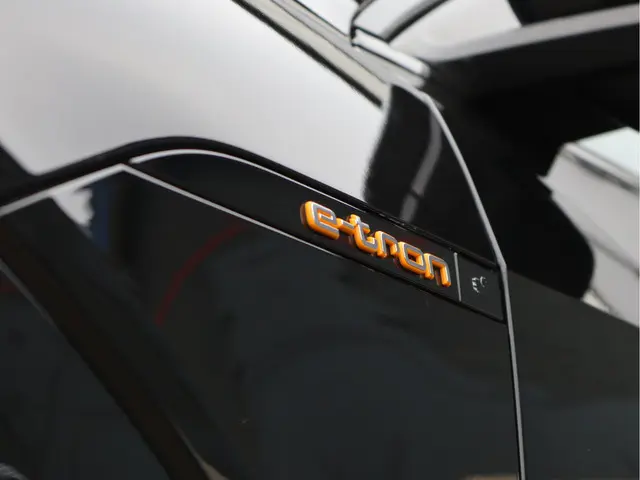 Audi e-tron Sportback 55 quattro 95KWh 2021 Elektrisch 15