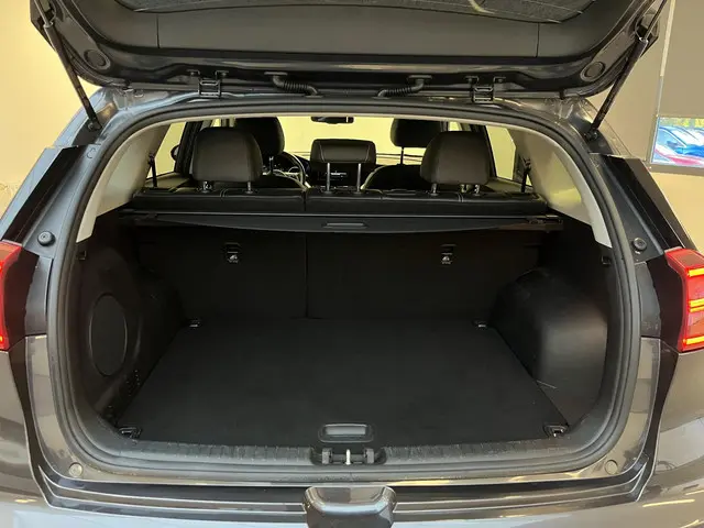 Kia e-Niro ExecutiveLine 64 kWh 2020 Elektrisch 14