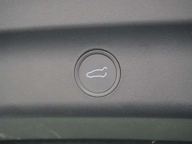 Tesla Model Y Long Range AWD 75 kWh 2021 Elektrisch 12