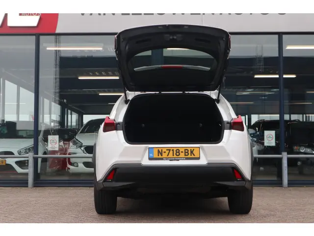 Lexus UX 300e Business 54 kWh 2021 Elektrisch 15