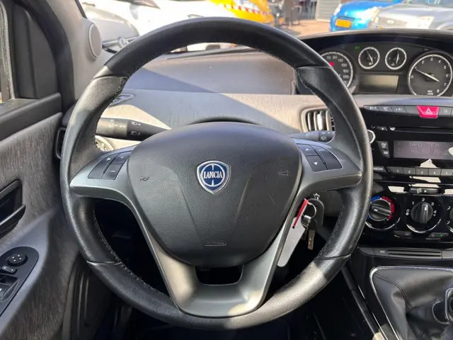 Lancia Ypsilon 0.9 TwinAir Silver + 2013 Benzine 19