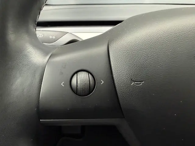 Tesla Model 3 Long Range AWD 75 kWh 2019 Elektrisch 13