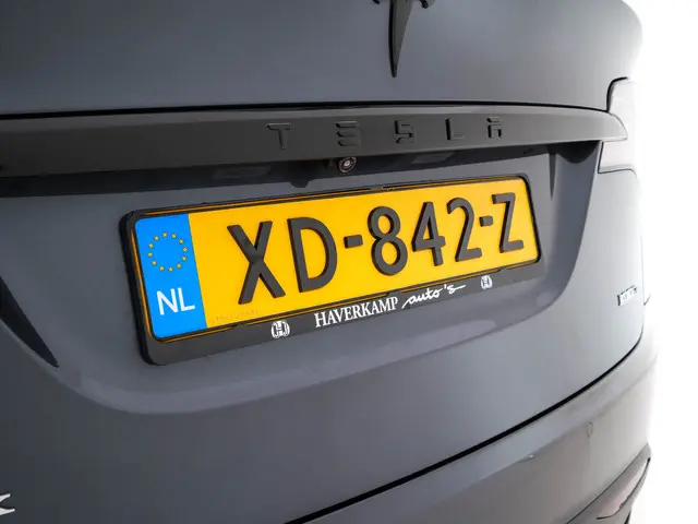 Tesla Model X 100D AWD [ 3-Fase ] 2018 Elektrisch 28