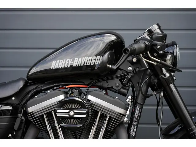 Harley-Davidson Sportster XL 1200CX Roadster 2017 Benzine 8