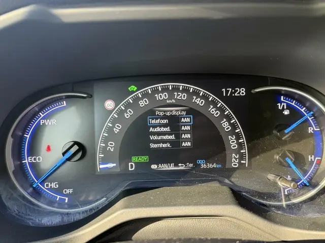 Toyota RAV4 2.5 Hybrid Active 2019 Hybride Benzine 14