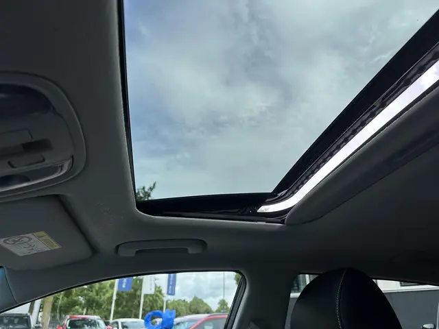 Kia e-Niro DynamicPlusLine 64 kWh 2021 Elektrisch 16