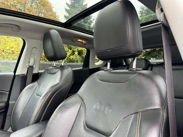 Jeep Compass Compass 1.6 MultiJet Limited 2020 Diesel 12