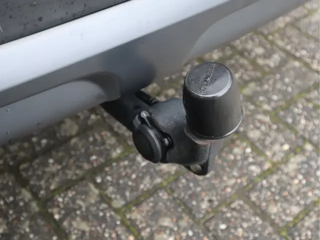 Renault Kadjar 1.3 TCe Black Edition 2019 Benzine 13