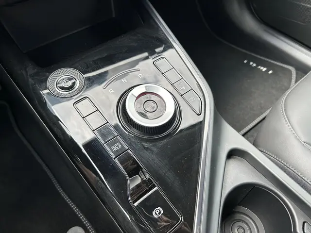 Kia Niro EV DynamicLine 64.8 kWh 2024 Elektrisch 17