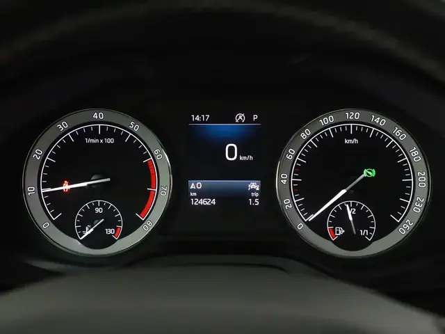 Škoda Kodiaq 1.5 TSI Business Edition 7p. 2019 Benzine 14