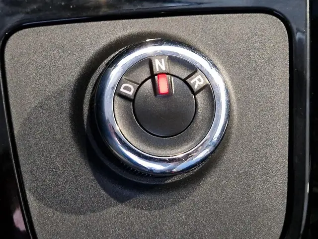 Dacia Spring Comfort 27 kWh 2022 Elektrisch 20