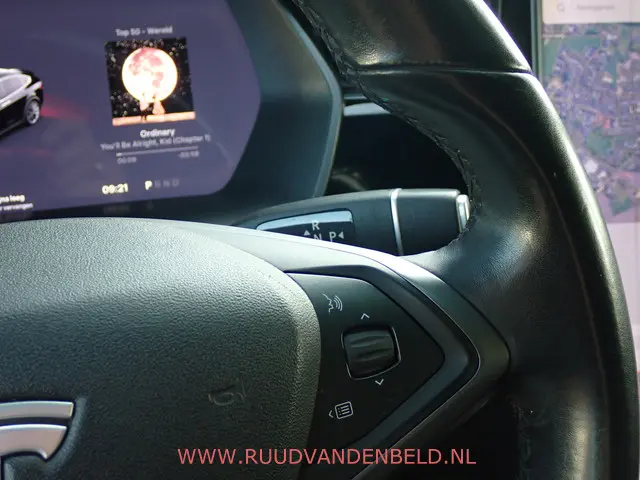 Tesla Model X 75D 2018 Elektrisch 29