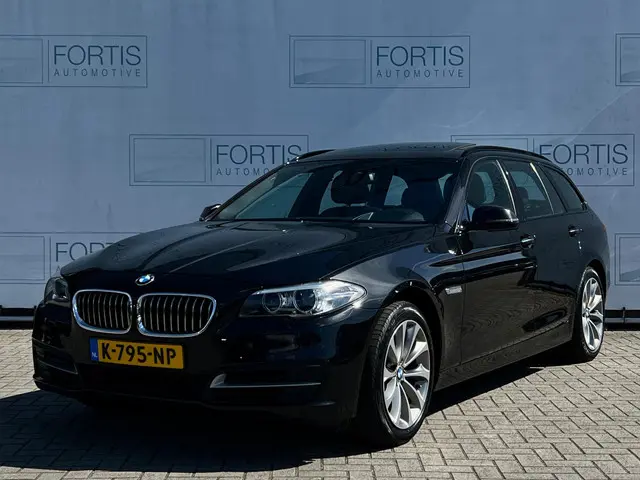 BMW 5 Serie Touring 520i Executive 2015 Benzine