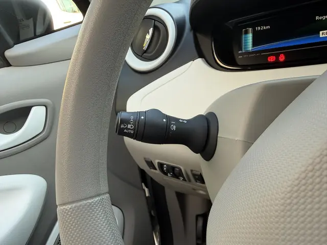 Renault ZOE R90 Life 41 kWh 2018 Elektrisch 24